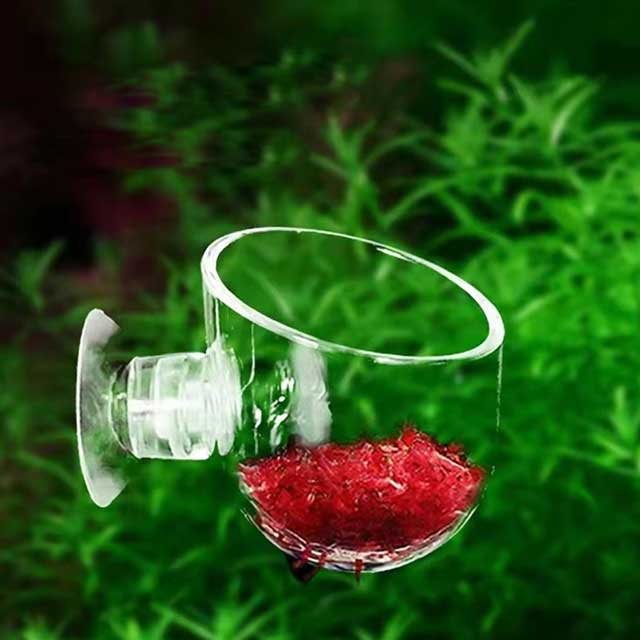 1PC Aquarium Worm Feeder Cup – Red Worm & Earthworm Feeding Cup with Suction Base for Fish Tanks & Aquatic Plants