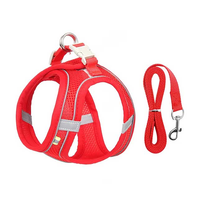 Adjustable Dog Harness & Leash Set – Soft Vest for Small Dogs & Cats, Ideal for French Bulldog, Chihuahua, Pug, Outdoor Walking