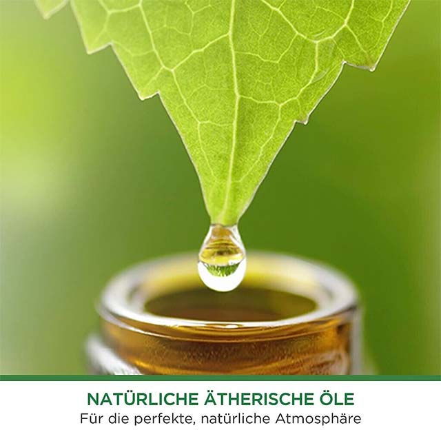 Air Wick Freshmatic Max Silk & Lily Refill 250ml – Long-Lasting Automatic Home Air Freshener