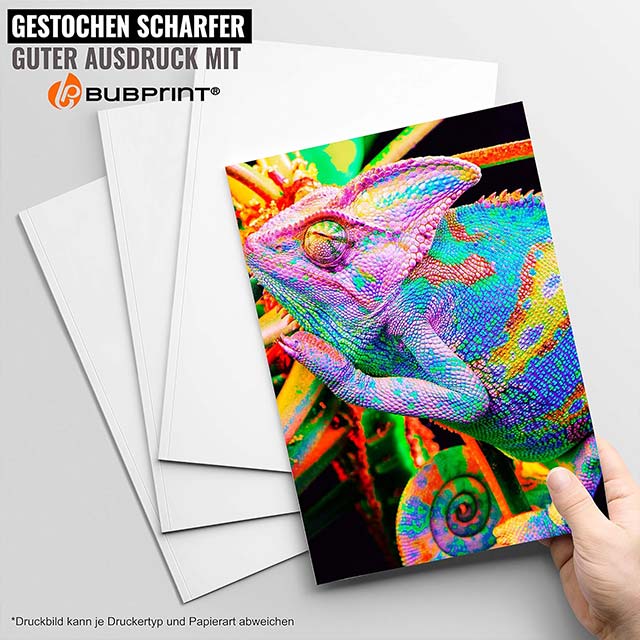 Bubprint 4 Printer Cartridges 502XL – Compatible Replacement for Epson 502 XL Expression Home (XP-5100/5105/5115) & Workforce (WF-2860DWF/2865DW) Printers Multipack