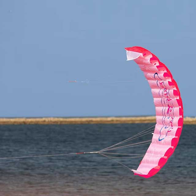 Dual Line Stunt Parafoil Kite – Rainbow Power Sports Kite for Beginners & Beach Fun