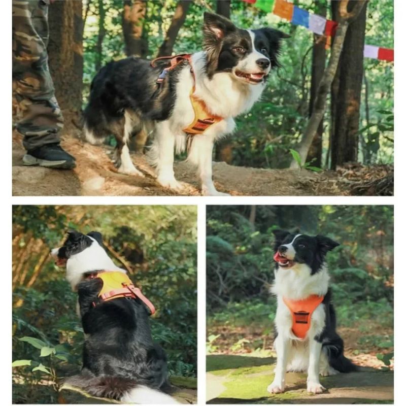 Explosion-Proof Breathable Dog Harness – Reflective No-Pull Adjustable Pet Vest – Durable Outdoor Training Harness for Small, Medium, and Large Dogs