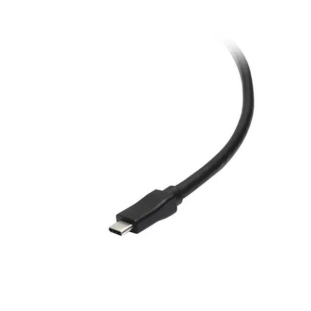 Extra Long USB-C to USB-A Cable