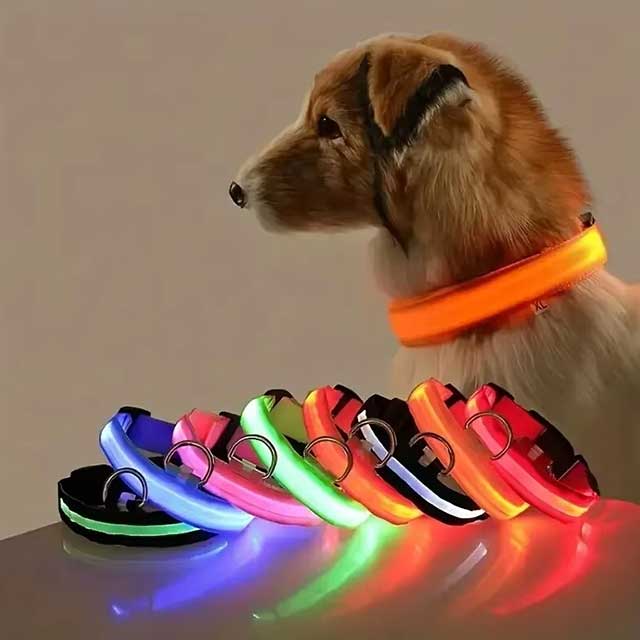 LED Glowing Dog Leash & Collar – Nylon Night Safety Flashing Light-Up Pet Set, Glow-in-the-Dark for Dogs