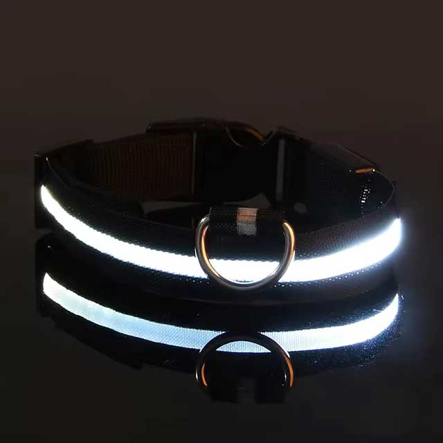 LED Glowing Dog Leash & Collar – Nylon Night Safety Flashing Light-Up Pet Set, Glow-in-the-Dark for Dogs