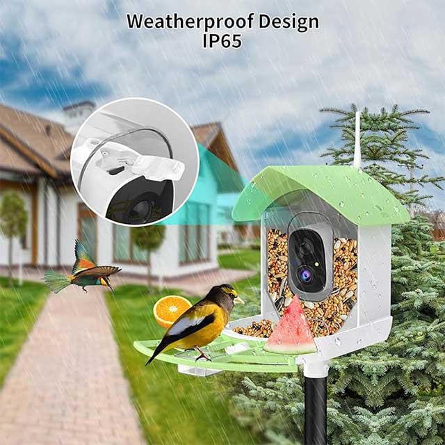 Lollyes AI Smart Bird Feeder Camera