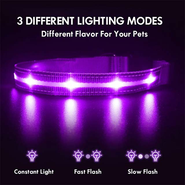 MASBRILL LED Dog Collar – Waterproof & USB Rechargeable Glowing Safety Collar for Night Walks, Flashing LED Light for Small, Medium & Large Dogs – Purple