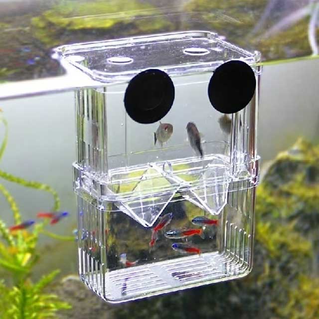 Multifunctional Clear Aquarium Breeding Box – Fish Isolation & Hatching Incubator for Guppies & Small Fish