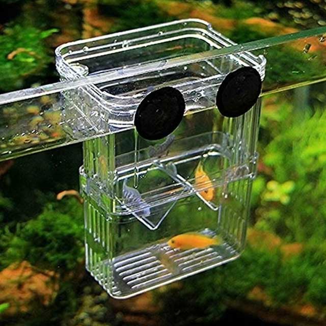 Multifunctional Clear Aquarium Breeding Box – Fish Isolation & Hatching Incubator for Guppies & Small Fish