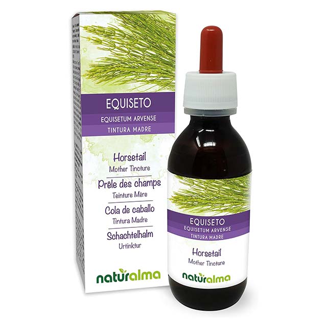 Naturalma Premium Vegan Alcohol-Free Horsetail (Equisetum arvense) Mother Tincture – Liquid Herbal Extract Drops & Food Supplement