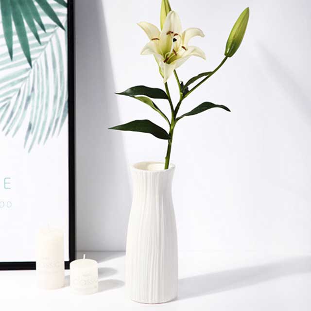 Nordic Style Plastic Vase – Shatter-Resistant Home INS Simulation Vase for Living Room Decor