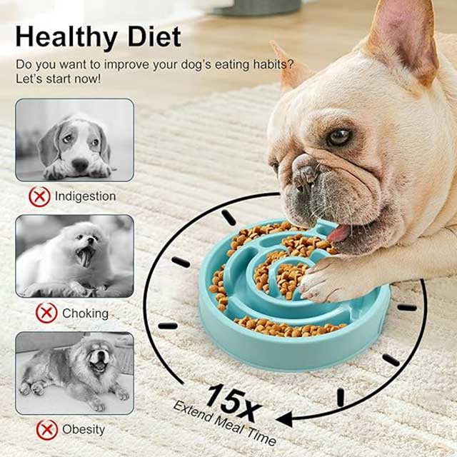 Slow Feeder Dog Bowl – Anti-Choking Puzzle Bowl for Dry, Wet & Raw Food | Maze Design to Slow Down Eating & Prevent Overeating | Puppy Training Dish for Small & Medium Dogs, Cats & Pets