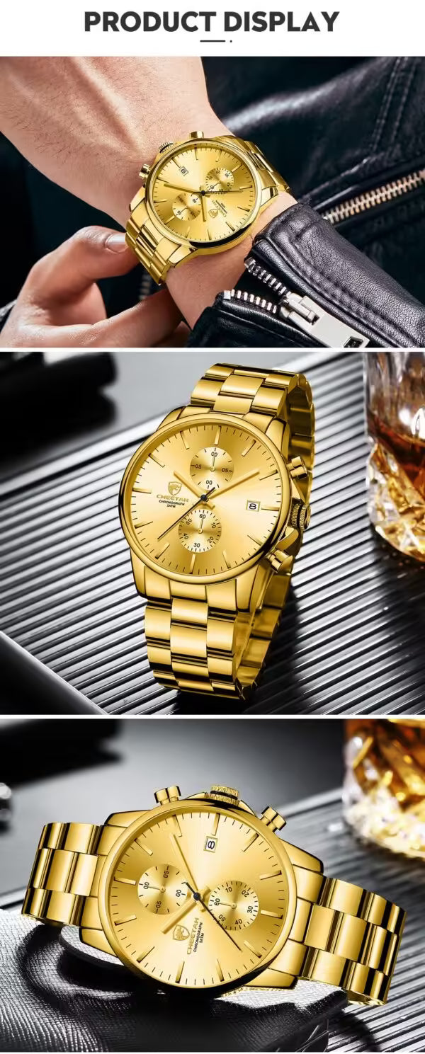 CHEETAH Chronograph Stainless Steel Men Watch (CH1604)