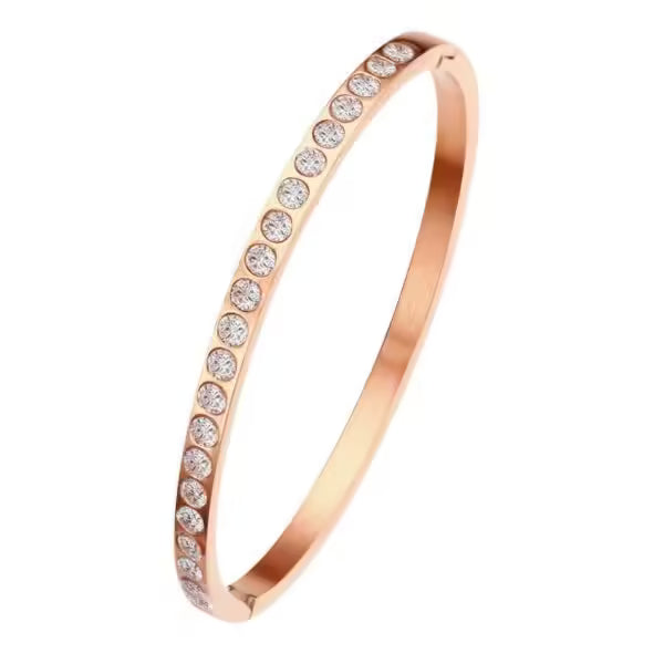 Luxurious Pave Zircon Stainless Steel Women Bangle (EGBT364)