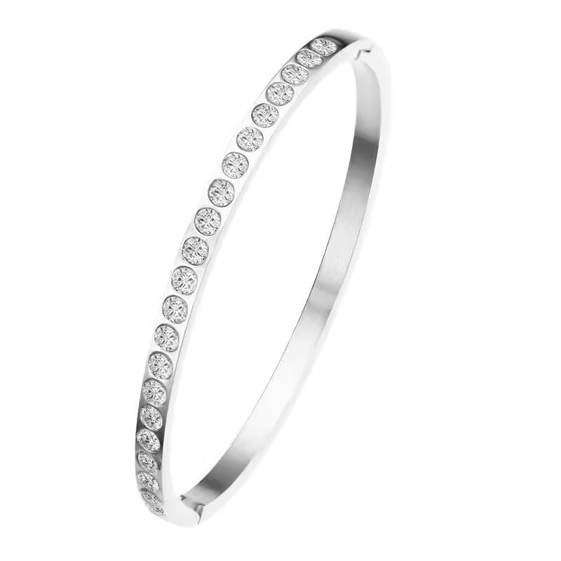 Luxurious Pave Zircon Stainless Steel Women Bangle (EGBT364)