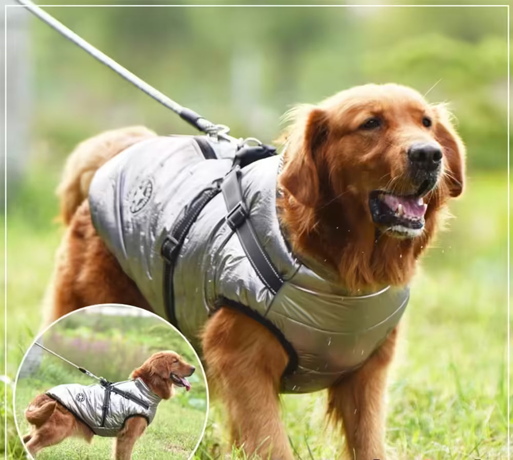 Winter Warm Dog Jacket with Harness Waterproof Coat for Small & Large Dogs | Chihuahua, French Bulldog Outfits