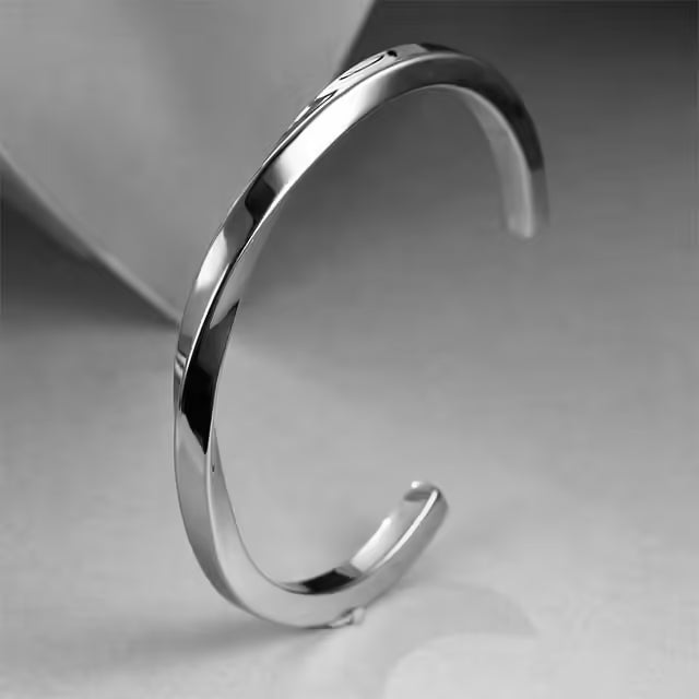 Twisted Stainless Steel Unisex Bangle Bracelet (EGBT336)