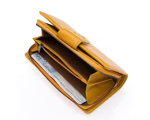 Westpolo Maze Genuine Zipper and Magnet Women's Wallet with Large Card Capacity (481)