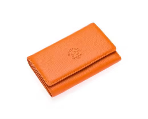 Westpolo Tasha Large Card Capacity Genuine Leather Horizontal Women's Wallet with Phone Compartment(488)