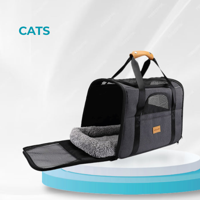 Cats