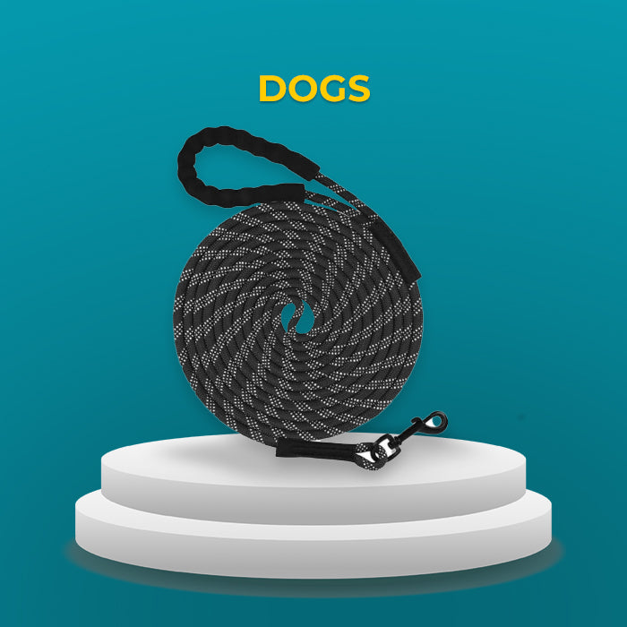 Dogs