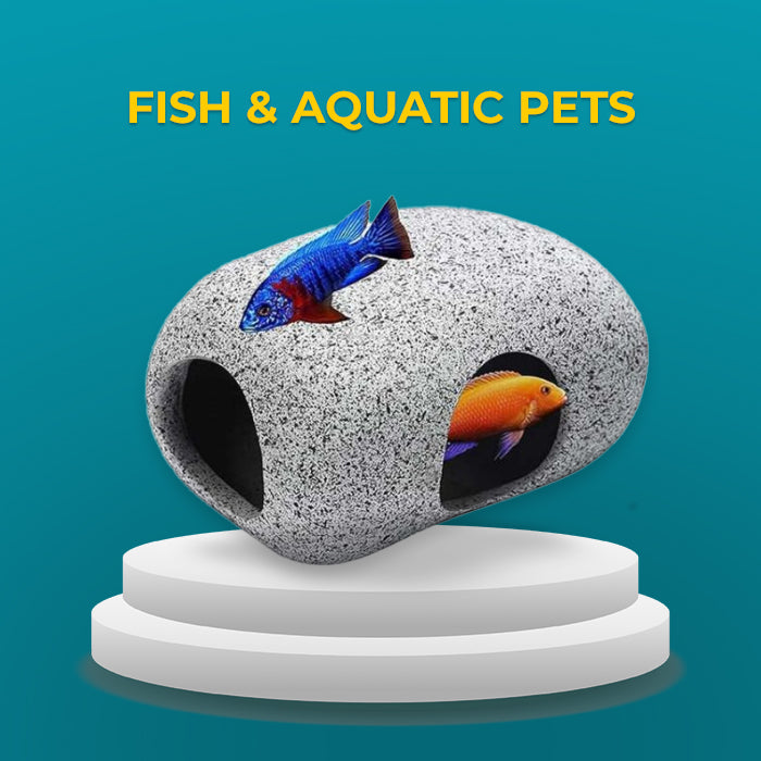 Fish & Aquatic Pets