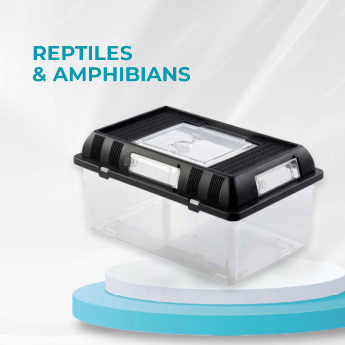 Reptiles & Amphibians