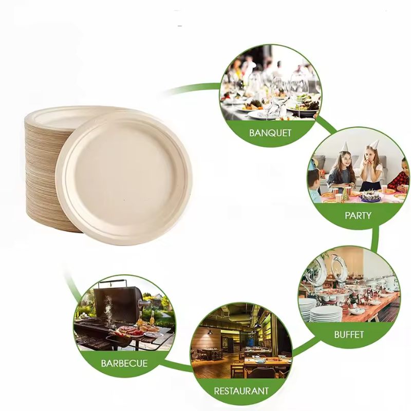 10-Pack Heavy-Duty Disposable Paper Plates - 100% Compostable Bagasse & Eco-Friendly Sugarcane Plates