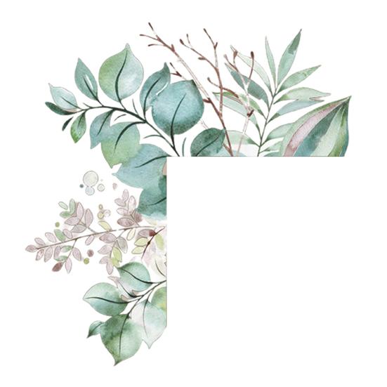 Autocollant mural végétal vert amovible – Décoration murale colorée pour interrupteur