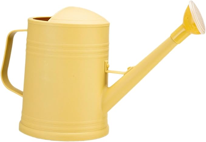 Arrosoir à longue buse 1,5 L avec pomme d'arrosage détachable – Arrosoir de jardin intérieur/extérieur à double usage pour plantes d'intérieur et fleurs