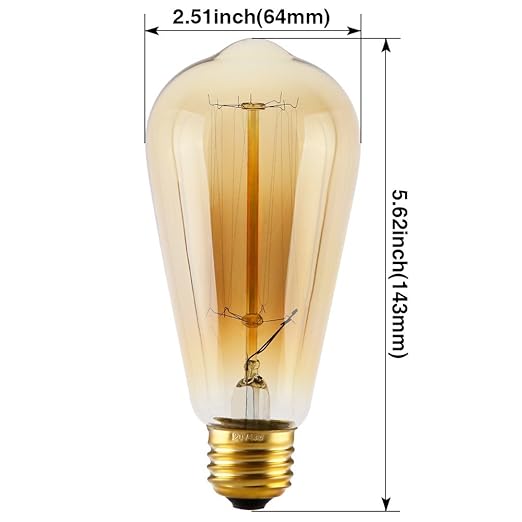 Homesake ST64 LED Filament Bulb 4W Warm White Vintage Tube Light for Home Décor, Pendant Lights, Wall Lamps & E27 Fixtures