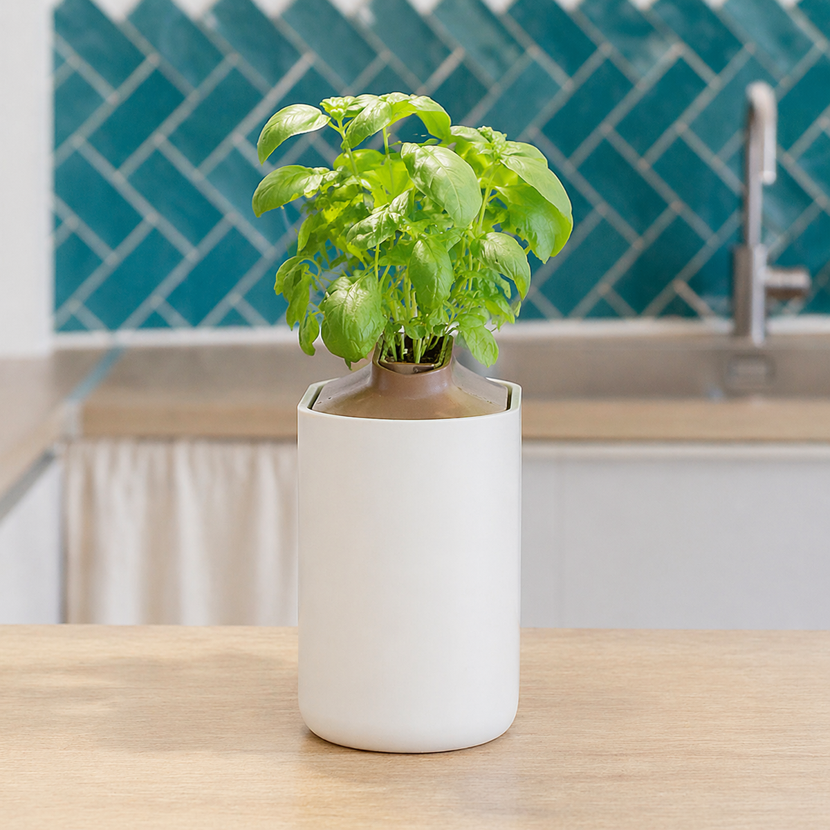 Pot de culture pour herbes aromatiques à réserve d'eau – Jardinière moderne pour herbes aromatiques de cuisine