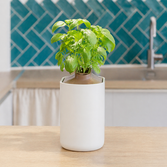 Self-Watering Herb Pot Planter – Modern Indoor Plant Pot for Kitchen Herbs