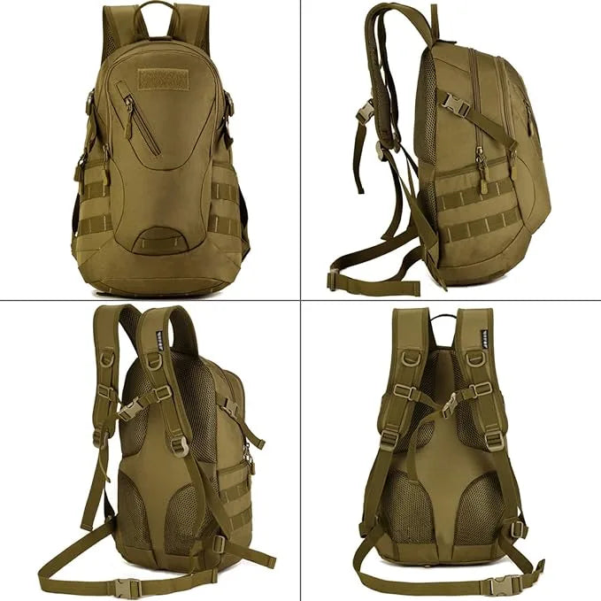 71KCpiyFA5L. AC SX679  1 jpg