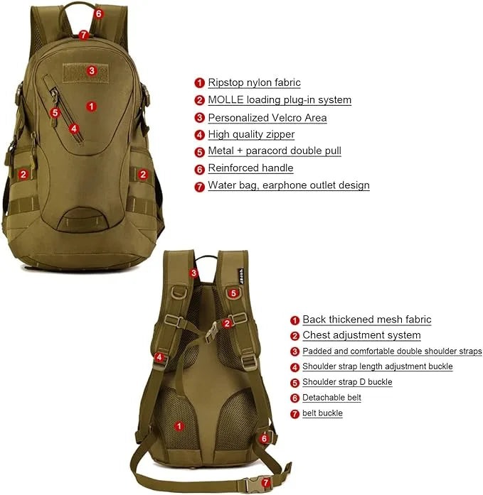 71dpYVyfaL. AC SX679  jpg