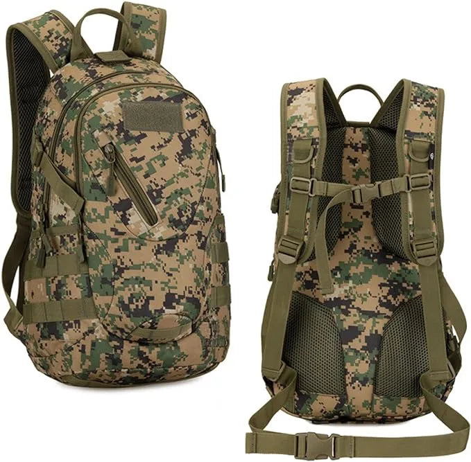 71dq6EzlSL. AC SX679  jpg