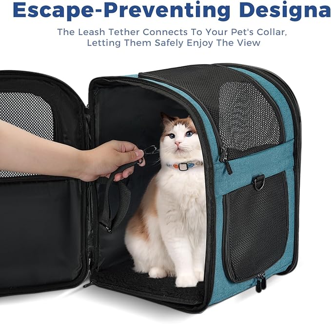 Sac à dos de transport pour animaux de compagnie Apollo Walker – Transport sûr et rembourré pour chats, chiens et chiots, idéal pour les voyages, la randonnée et les aventures en plein air (Noir)