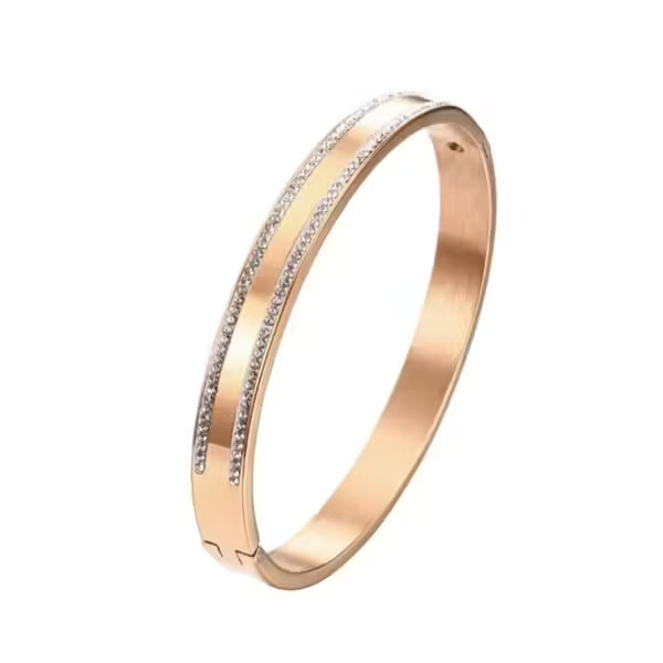 Double Row Zircon Stainless Steel 8MM Women Bangle (EGBT333)