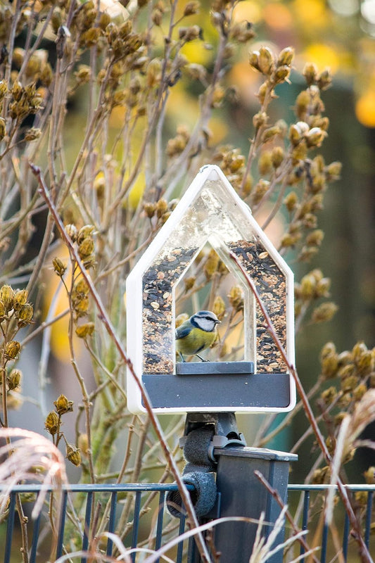 Universal Balcony Railing Mount Bracket – Adjustable Holder for Bird Feeders, Birdhouses & Planters