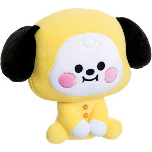 AURORA BT21 Merchandise