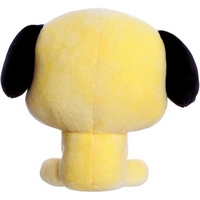 AURORA BT21 Merchandise