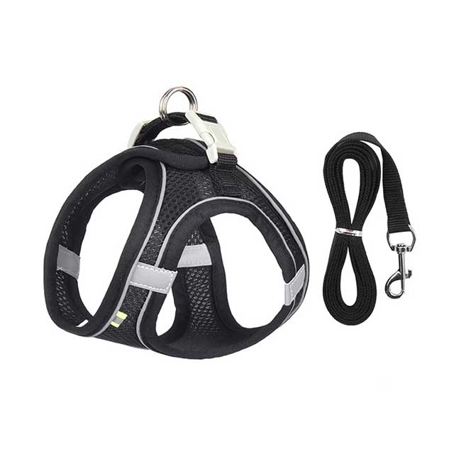 Adjustable Dog Harness & Leash Set – Soft Vest for Small Dogs & Cats, Ideal for French Bulldog, Chihuahua, Pug, Outdoor Walking
