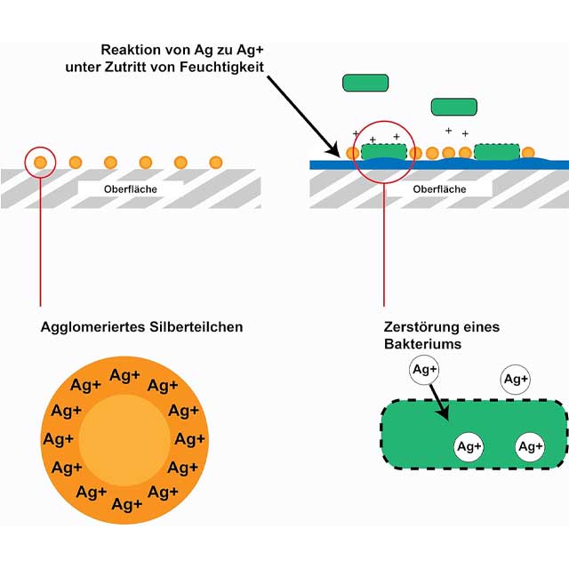 Ag+ Anti-Mould Paint – Chlorine-Free Coating Against Mould &amp; Pollutants
