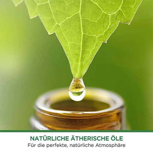 Air Wick Freshmatic Max Silk &amp; Lily Refill 250ml – Long-Lasting Automatic Home Air Freshener