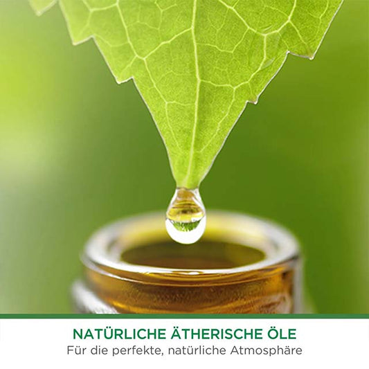 AirWick Freshmatic Lavender Refill 250 ml – Premium Long-Lasting Air Freshener for Home &amp; Office