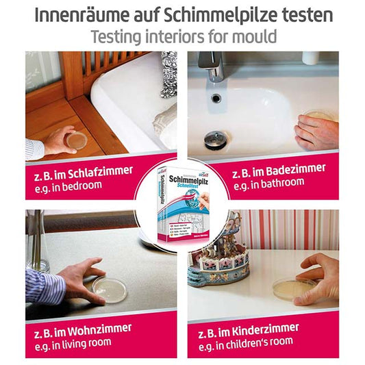 Airself Home Mould Test Kit – Quick &amp; Accurate Mould Growth Detection for Up to 10 Rooms