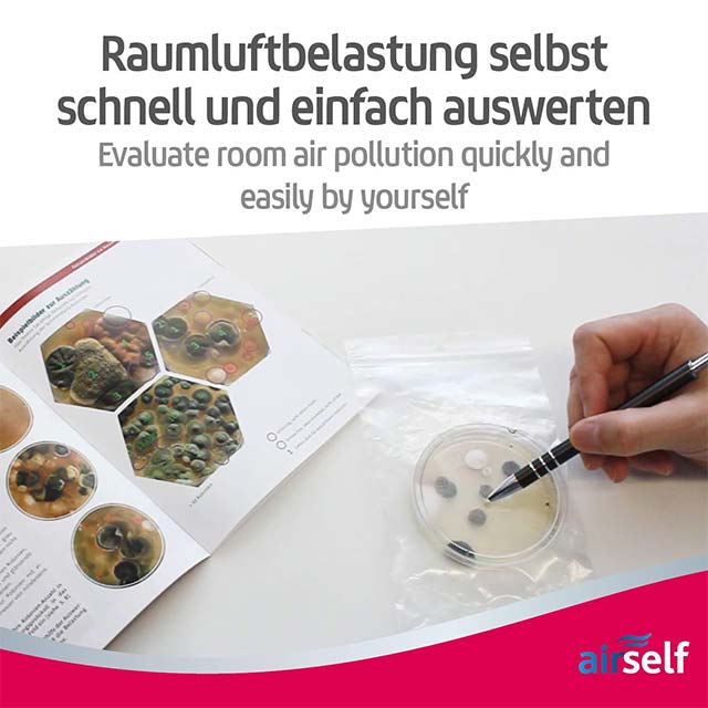 Airself Home Mould Test Kit – Quick &amp; Accurate Mould Growth Detection for Up to 10 Rooms
