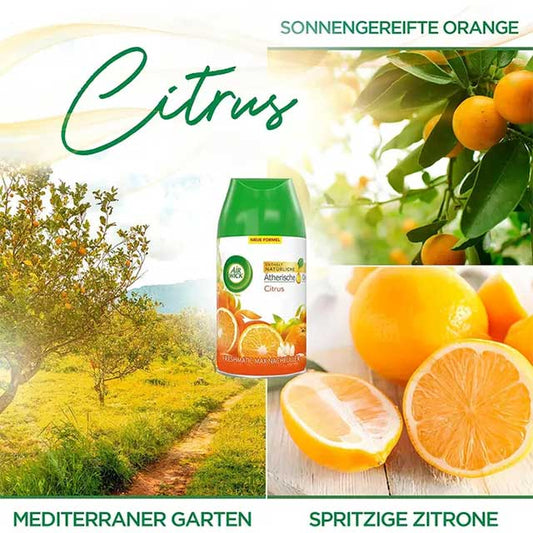 Airwick Freshmatic Max Room Fragrance Refill