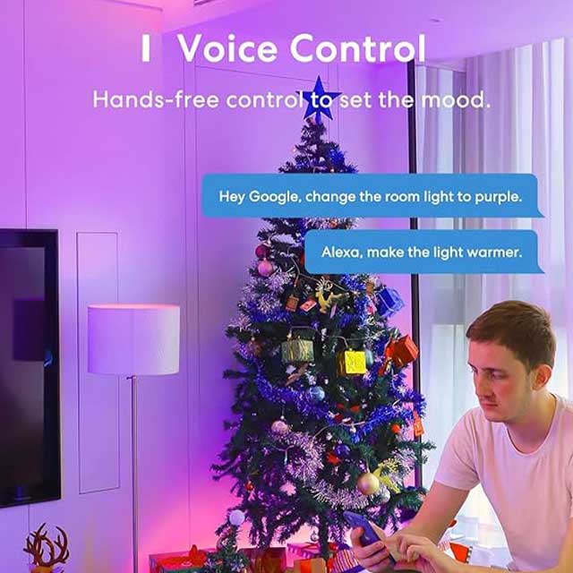 Alexa & Google Home Compatible