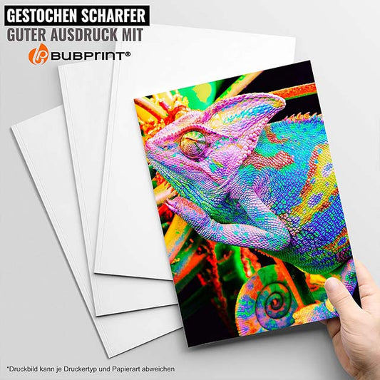 Bubprint 4 Printer Cartridges 502XL – Compatible Replacement for Epson 502 XL Expression Home (XP-5100/5105/5115) &amp; Workforce (WF-2860DWF/2865DW) Printers Multipack